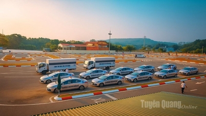 Viet Nhat Berufskolleg für Technologie: Wir bieten effektive und fundierte Ausbildung und Prüfungen für den Erwerb von Kraftfahrzeugführerscheinen an.