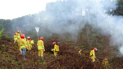 থাই নগুয়েন সক্রিয়ভাবে বনের আগুন প্রতিরোধ এবং লড়াই করে