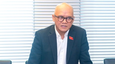 Поправки к Закону о налоге на добавленную стоимость должны кардинально устранить институциональные узкие места