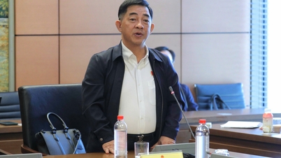 Poslanec Národního shromáždění provincie Dong Nai Huynh Thanh Chung: Je třeba vypracovat konkrétní plán na odstranění problémů v oblasti zemědělské výroby.