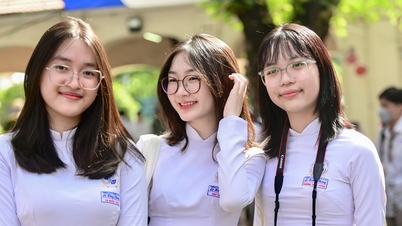 ہو چی منہ شہر کے طلباء کو نئے سال کی شام 2026 کے لیے لگاتار 4 دن کی چھٹی ہو سکتی ہے