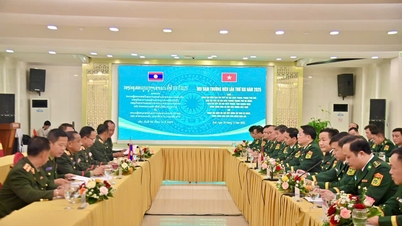 সীমান্ত সহযোগিতা বৃদ্ধির জন্য আলোচনা