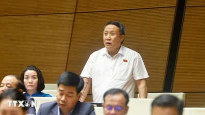 الدورة العاشرة للجمعية الوطنية الخامسة عشرة: تطبيق استرداد الضريبة تلقائيًا وفقًا لمستوى المخاطر