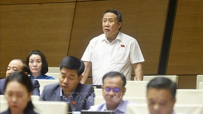 Применить автоматический возврат налога в зависимости от уровня риска