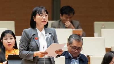 A képviselők azt javasolták, hogy hozzák nyilvánosságra azon minisztériumok és ügynökségek nevét, amelyek lassan kezelik a választók petícióit.