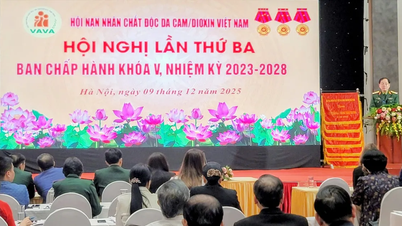 Upaya untuk meringankan penderitaan Agent Orange dan bertahan dalam perjuangan untuk keadilan