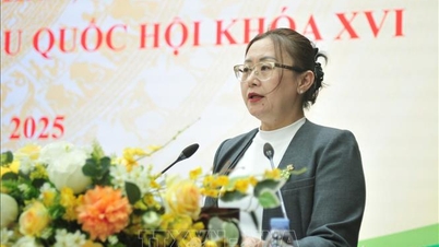 라오까이성 후보자 소개를 위한 첫 번째 협의 세션