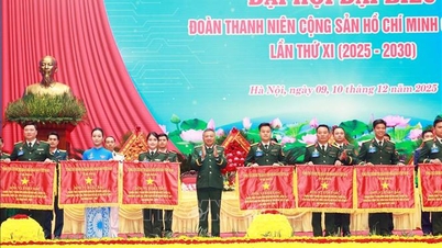 전군 청년층 '승리투쟁 3선구' 운동 전개