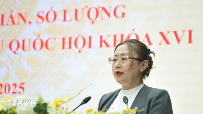 การเลือกตั้งสภานิติบัญญัติแห่งชาติ: ปรึกษาหารือเพื่อแนะนำผู้สมัครในลาวไก