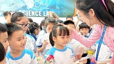 How will students in Ho Chi Minh City celebrate New Year's Day and Lunar New Year 2026?