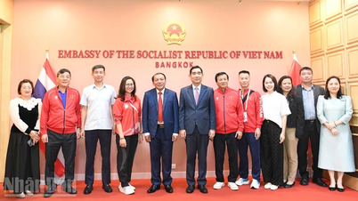 Embassy in Thailand accompanies the Vietnamese Sports Delegation to participate in the 33rd SEA Games