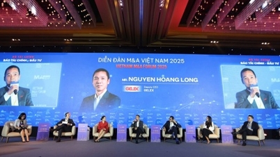 Soluções para empresas vietnamitas aproveitarem as "novas oportunidades" de fusões e aquisições.