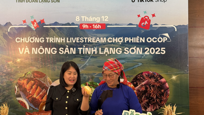 पहली बार, लैंग सोन के किसान 'आभासी' बाजार में ऑर्डर पूरा करने के लिए भुने हुए बत्तख लेकर आए।