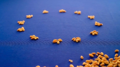 L'Europe parvient à un accord sur un nouveau cadre juridique pour les cultures génétiquement modifiées