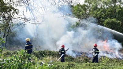 Ca Mau utarbetar plan för att förhindra skogsbränder under torrperioden