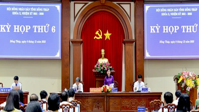 Dong Thap konzentriert sich auf die Armutsbekämpfung bis 2026