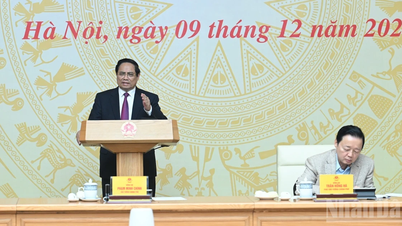 נחושים לפתח דיג בר-קיימא; לטפל בנחישות במקרי דיג IUU