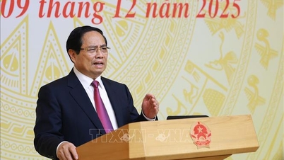 De to målene om å bekjempe IUU-fiske og utvikle bærekraftig fiskeri må oppnås.