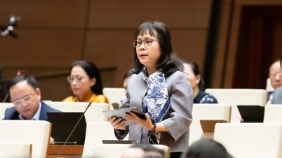 Lov om endring av merverdiavgift: Unngå tvister, legge til rette for vietnamesiske landbruksprodukter