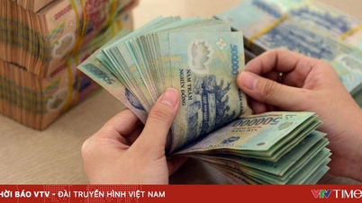 Eliminar el cuello de botella del IVA para los productos agrícolas: la clave para desbloquear los flujos de capital y restablecer la producción