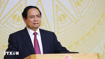 Statsminister: Bekämpa IUU-fiske och utveckla samtidigt hållbart fiske