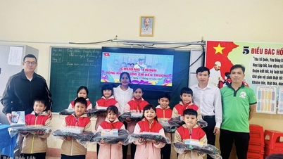 ڈاک لک کے پاس 2025 میں قومی رضاکارانہ سرگرمیوں میں 3 نمایاں گروپ ہیں۔