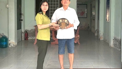 چاؤ ڈاکٹر وارڈ کے رہائشیوں نے رضاکارانہ طور پر ایک بڑے دانت والا کچھوا حوالے کیا۔