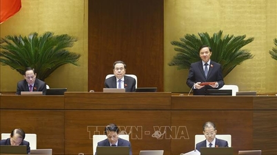 প্রেস বিজ্ঞপ্তি নং ৩৮, ১০ম অধিবেশন, ১৫তম জাতীয় পরিষদ