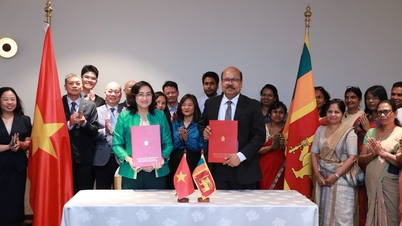 Заступник міністра Фан Тхі Тханг співголовував на 3-му засіданні Спільного торговельного підкомітету В'єтнаму та Шрі-Ланки