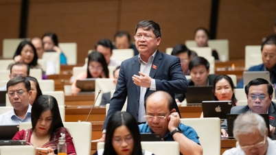 ضريبة القيمة المضافة على الأسمدة: المندوبون يقترحون العودة إلى المجموعة غير الخاضعة للضريبة