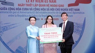 Ho Si Minh-város készen áll a tapasztalatok megosztására és Kuba kísérésére.