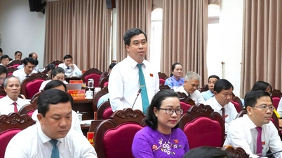 تطوير الأعمال وتحويل الأعمال المنزلية: محركات النمو الجديدة في المقاطعة