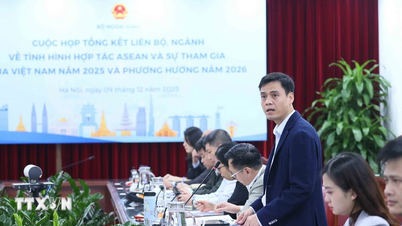 لقد قدمت فيتنام مساهمات مهمة في النجاح المشترك لرابطة دول جنوب شرق آسيا.