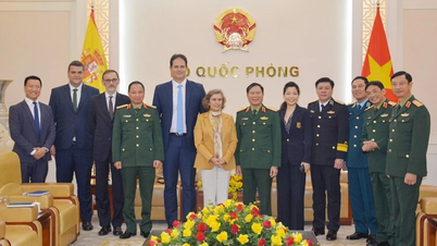 Оборонна співпраця В'єтнаму та Іспанії досягла багатьох позитивних результатів