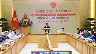 نخست وزیر فام مین چین: باید به اهداف دوگانه مبارزه با ماهیگیری غیرقانونی، بدون مجوز و توسعه شیلات پایدار دست یافت