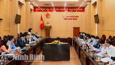 Đoàn công tác của Ủy ban Quốc gia về người cao tuổi Việt Nam làm việc tại Ninh Bình