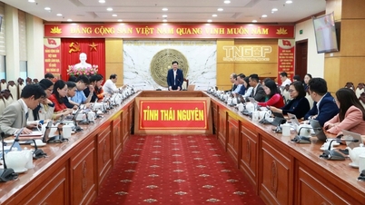 9. zasedání 14. provinční lidové rady: Delegáti přispěli na skupinové diskusi mnoha názory.