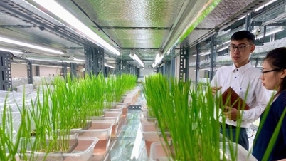 বিজ্ঞান ও প্রযুক্তি: আধুনিক কৃষির উন্নয়নের চালিকা শক্তি