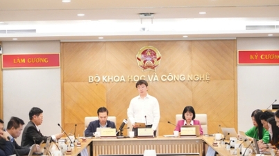 نومبر میں ڈیجیٹل ٹیکنالوجی انڈسٹری کے قانون کی رہنمائی کرنے والے 6 سرکلر جاری کیے گئے تھے۔