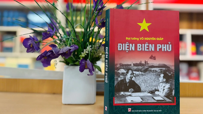 “ດ້ຽນບຽນຝູ” ​ເຖິງ​ຜູ້​ອ່ານ​ອາຣັບ: ຂົວ​ນຳ​ປະຫວັດສາດ​ຫວຽດນາມ​ມາ​ສູ່​ໂລກ
