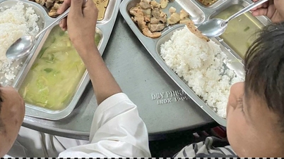 El proyecto “Criando Niños” utiliza parte de las donaciones de los donantes para ahorros.