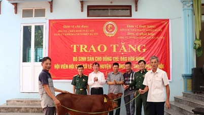 Capital Veterans Association bidrar til bærekraftig fattigdomsreduksjon og sikring av sosial trygghet.