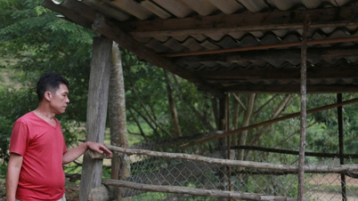 Луонг Мінь на шляху до сталого скорочення бідності