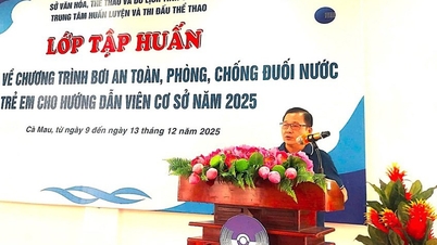 Aprimoramento das habilidades de guias turísticos locais na prevenção e no combate ao afogamento infantil.