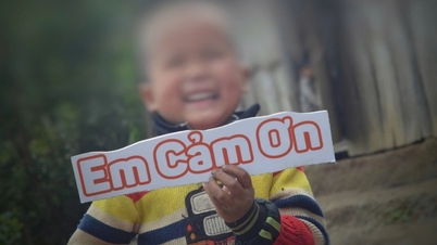 آیا نے سود کمانے کے لیے غیر استعمال شدہ خیراتی رقم بچانے کا اعتراف کیا۔