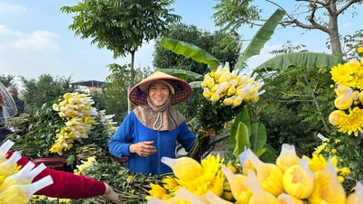 Hong Ha Flower Village: Where alluvium turns into fragrance and color