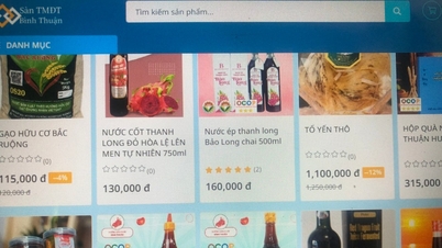 صوبائی انضمام کے بعد ای کامرس پلیٹ فارمز کو "مضبوط کرنا"۔