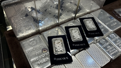 Giá bạc hôm nay 10/12/2025: Đảo chiều tăng