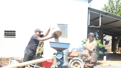 Minoritățile etnice se îmbogățesc în mod legitim