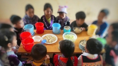 مخیر حضرات جو بچوں کی "پرورش" کرتے ہیں وہ دریافت کرتے ہیں کہ "لاوارث" کا لیبل لگا ہوا طالب علم حقیقت میں کبھی ترک نہیں ہوا تھا۔